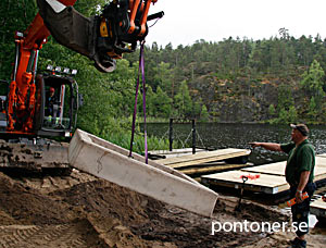 Miljön runt bryggan